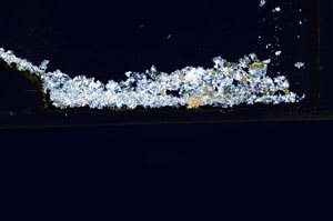 Cross Polarized, S44017