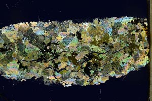 Cross Polarized, S44021