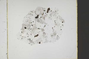 Plane Polarized, S44026