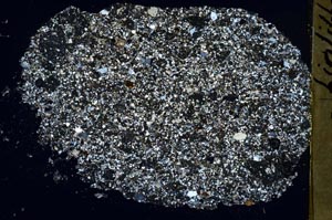 Cross Polarized, S44027