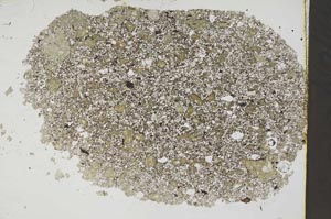 Plane Polarized, S44027