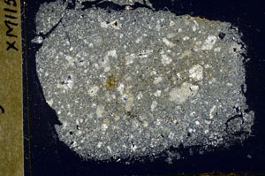 Cross Polarized, S44028