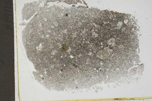 Plane Polarized, S44028