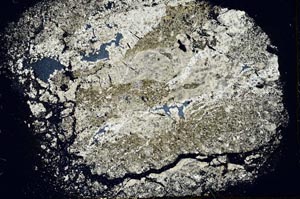 Cross Polarized, S44029