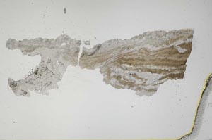 Plane Polarized, S44034