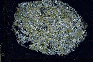 Cross Polarized, S44092