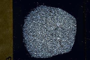 Cross Polarized, S44096