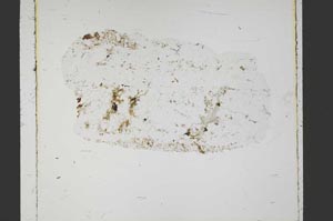 Plane Polarized, S44097