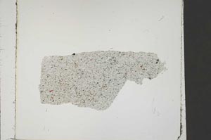 Plane Polarized, S44101