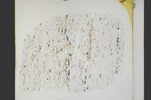 Plane Polarized, S44126