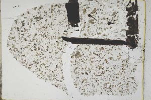 Plane Polarized, S44148