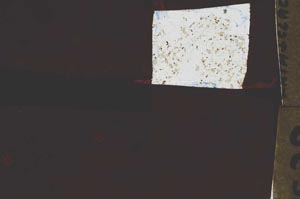 Plane Polarized, S44148/A