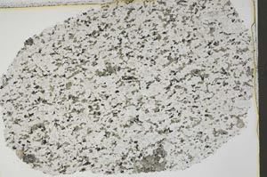 Plane Polarized, S44166