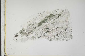 Plane Polarized, S44219