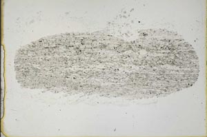 Plane Polarized, S44238