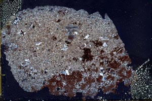 Cross Polarized, S44245