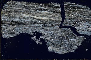 Cross Polarized, S44264
