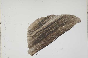 Plane Polarized, S44265