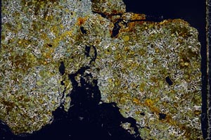 Cross Polarized, S44287
