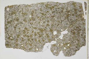 Plane Polarized, S44297