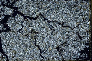 Cross Polarized, S44317
