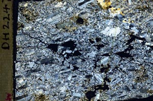 Cross Polarized, S44328
