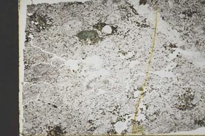 Plane Polarized, S44328