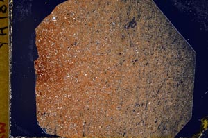 Cross Polarized, S44336