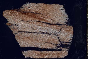 Cross Polarized, S44337