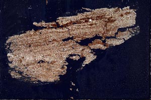 Cross Polarized, S44339