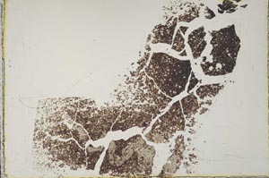 Plane Polarized, S44341