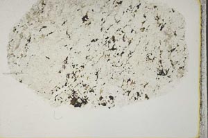 Plane Polarized, S44346