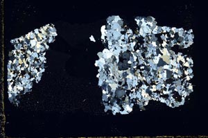 Cross Polarized, S44347
