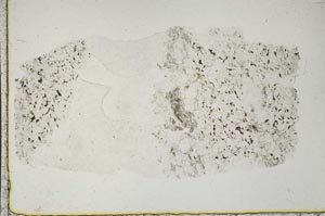 Plane Polarized, S44347