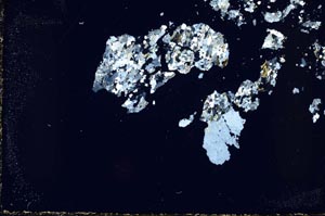 Cross Polarized, S44348