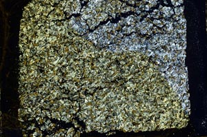 Cross Polarized, S44354