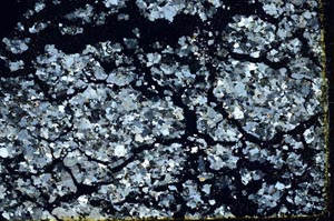 Cross Polarized, S44361