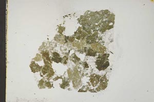 Plane Polarized, S44376