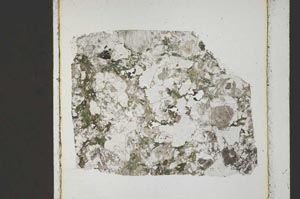 Plane Polarized, S44381