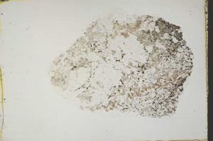 Plane Polarized, S44383