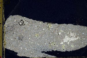 Cross Polarized, S44384