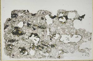 Plane Polarized, S44389