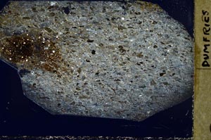 Cross Polarized, S44394