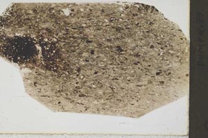 Plane Polarized, S44394