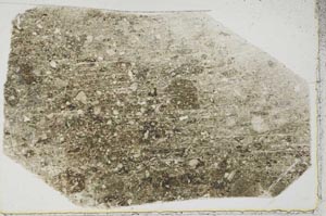Plane Polarized, S44395