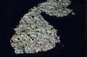 Cross Polarized, S44399