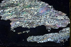 Cross Polarized, S44400