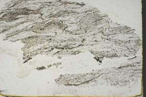 Plane Polarized, S44400