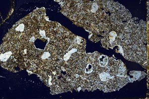 Cross Polarized, S44404