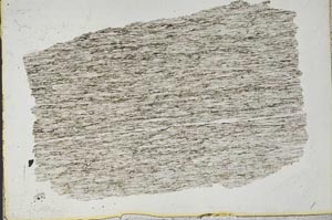 Plane Polarized, S44407